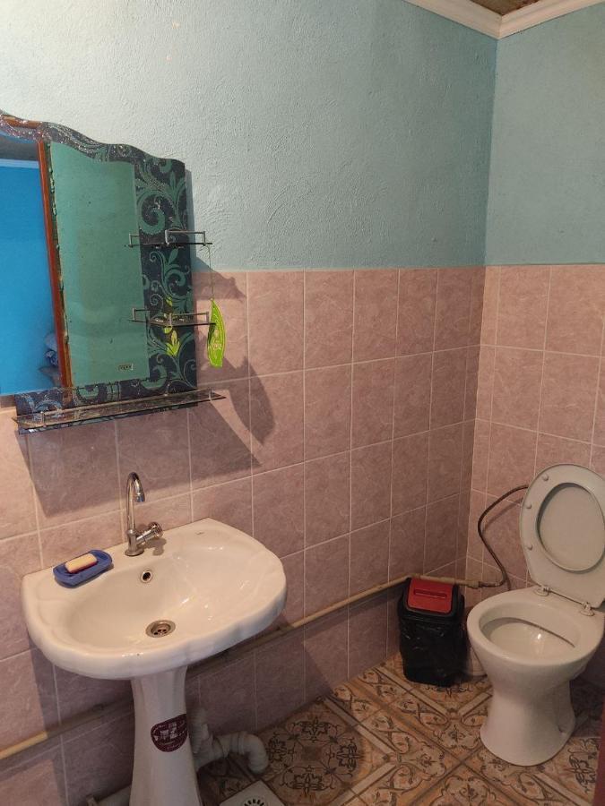 הוילה קפצ'אגאי Отдых В Капшагае! מראה חיצוני תמונה