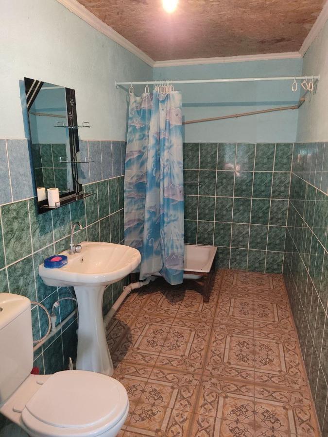 הוילה קפצ'אגאי Отдых В Капшагае! מראה חיצוני תמונה